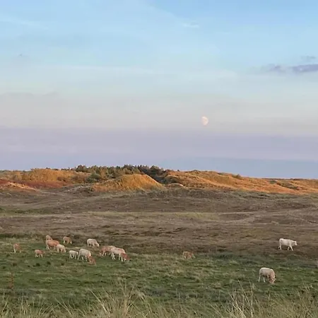 Дом отдыха Comfortable For 6 People *