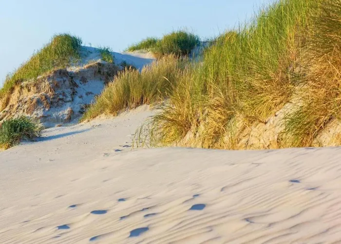 بيت للعطل Comfortable For 6 People *