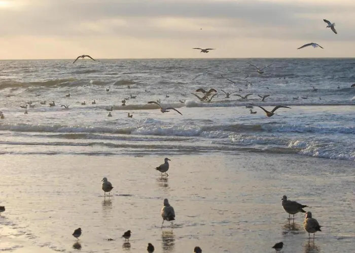 Comfortable For 6 People *