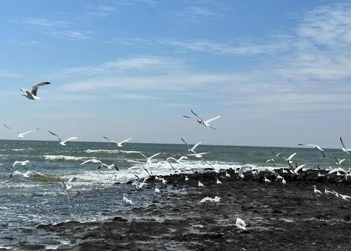 Comfortable For 6 People * Sint Maartensvlotbrug