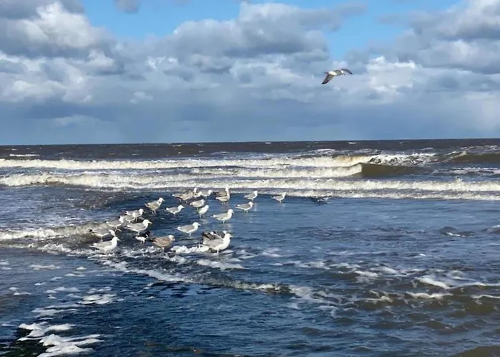 Comfortable For 6 People