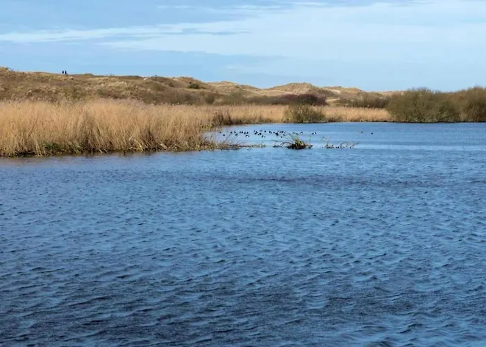 Comfortable For 6 People بيت للعطل *