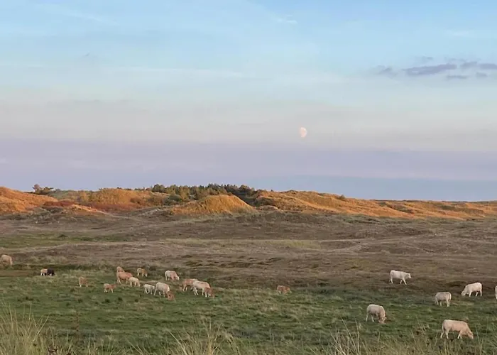 بيت للعطل Comfortable For 6 People *